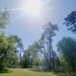 Happy Spring Equinox - @from MsLisaAnnMason